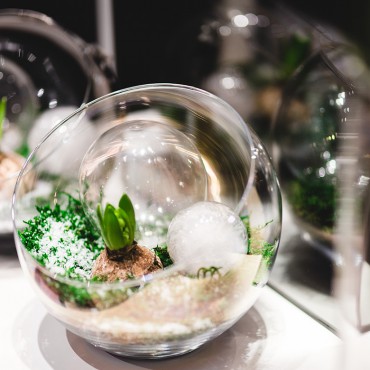 电话轰炸机在线网页版